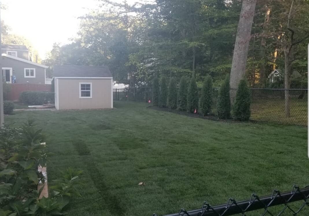 Sod installation Sod installation