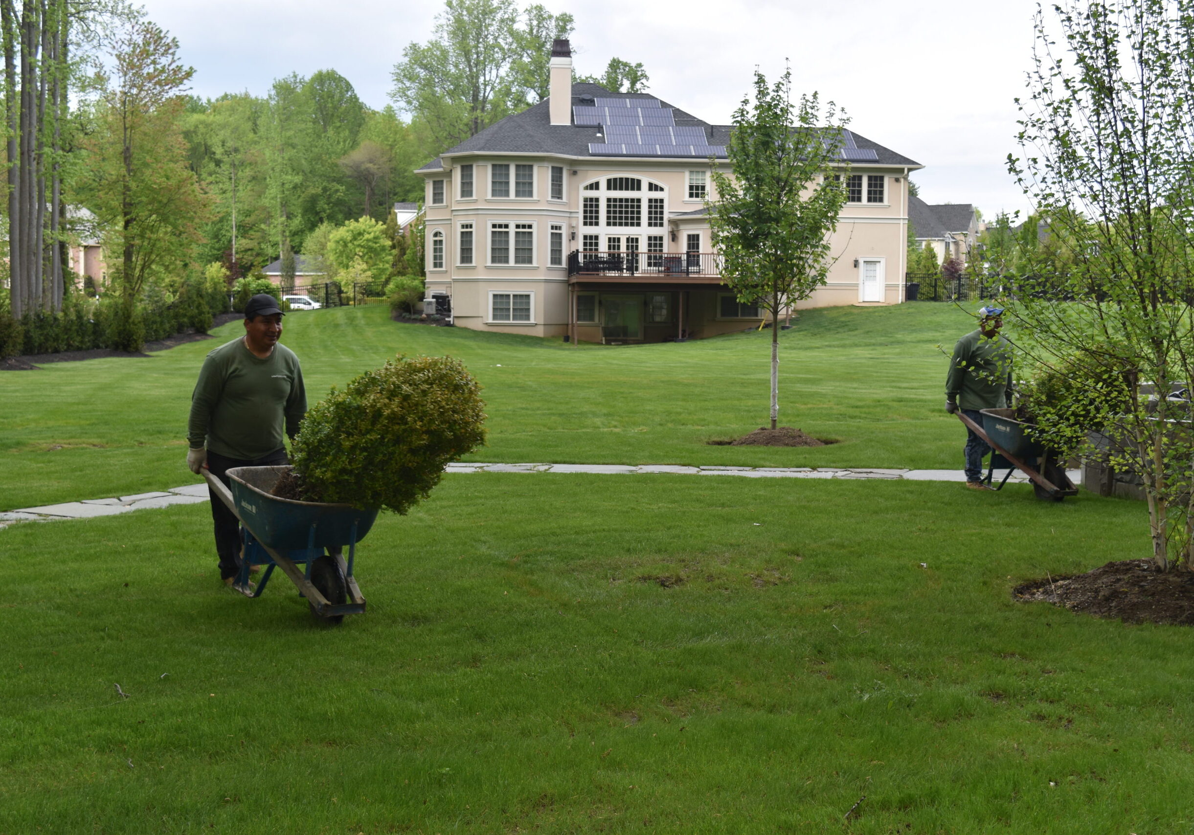 Lawn care service